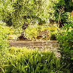 Quinta Da Baleeira Hébergement de vacances