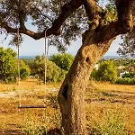 펜션 Quinta Da Baleeira 타비라