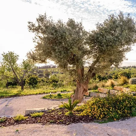 Quinta Da Baleeira Сasa de vacaciones Tavira