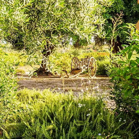 Quinta Da Baleeira Hébergement de vacances