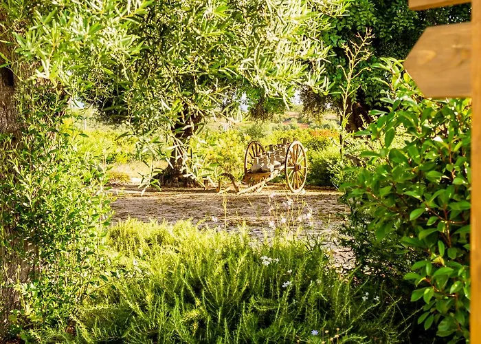 Quinta Da Baleeira Casa vacanze